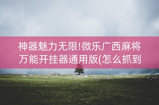 神器魅力无限!微乐广西麻将万能开挂器通用版(怎么抓到好牌)