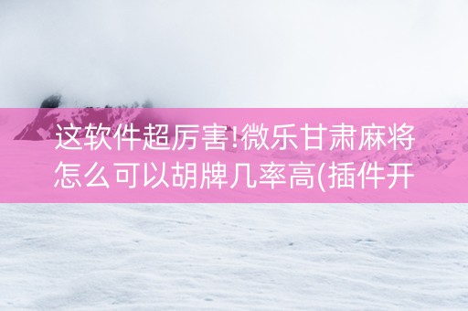 这软件超厉害!微乐甘肃麻将怎么可以胡牌几率高(插件开挂免费AI)