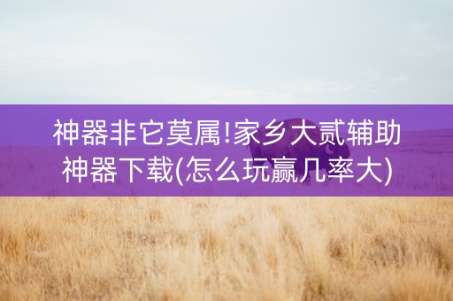 神器非它莫属!家乡大贰辅助神器下载(怎么玩赢几率大)