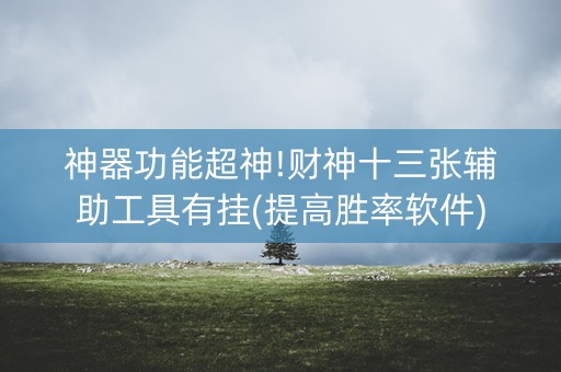 神器功能超神!财神十三张辅助工具有挂(提高胜率软件)