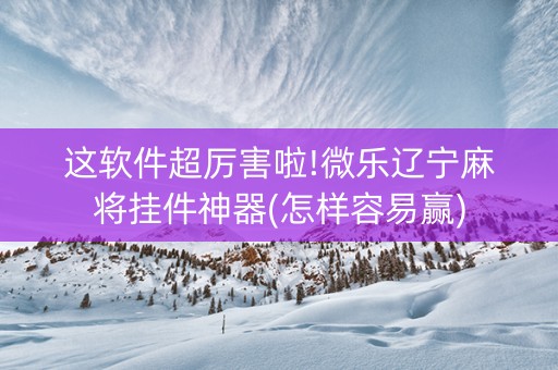 这软件超厉害啦!微乐辽宁麻将挂件神器(怎样容易赢)