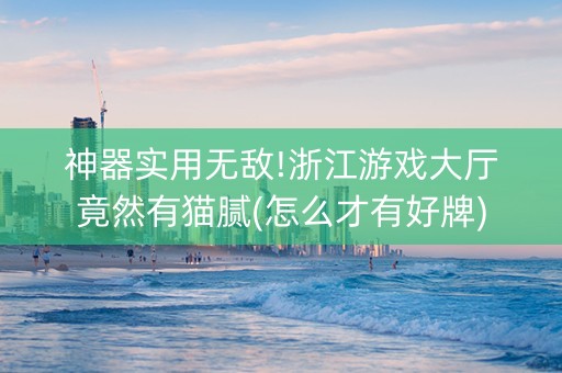 神器实用无敌!浙江游戏大厅竟然有猫腻(怎么才有好牌)
