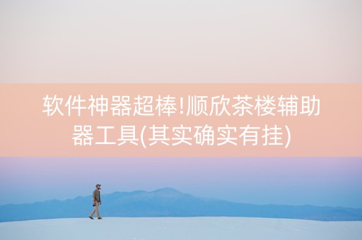 软件神器超棒!顺欣茶楼辅助器工具(其实确实有挂)