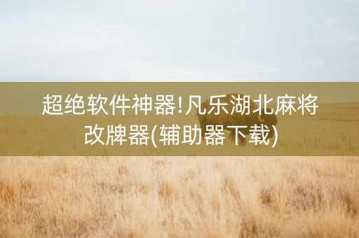超绝软件神器!凡乐湖北麻将改牌器(辅助器下载)