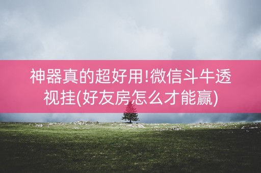 神器真的超好用!微信斗牛透视挂(好友房怎么才能赢)