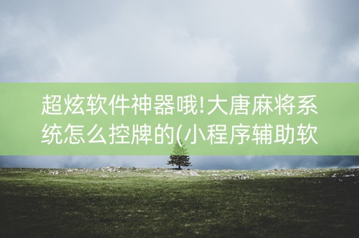 超炫软件神器哦!大唐麻将系统怎么控牌的(小程序辅助软件)