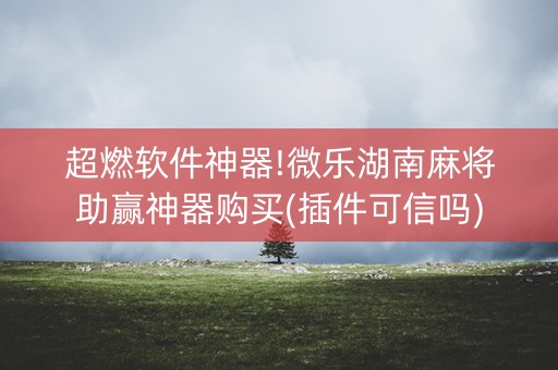 超燃软件神器!微乐湖南麻将助赢神器购买(插件可信吗)