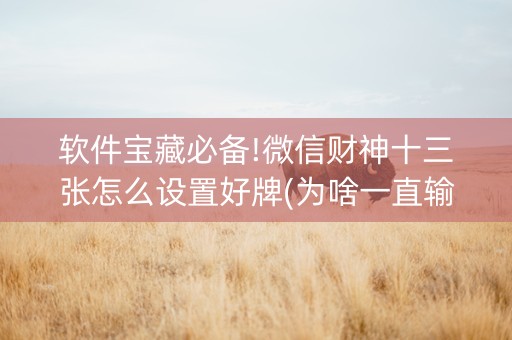 软件宝藏必备!微信财神十三张怎么设置好牌(为啥一直输)