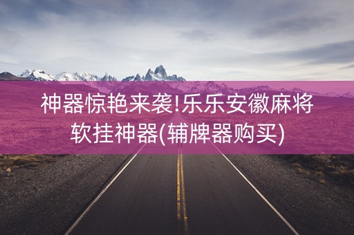 神器惊艳来袭!乐乐安徽麻将软挂神器(辅牌器购买)