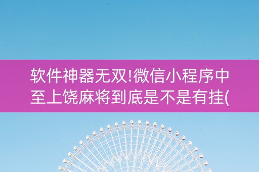软件神器无双!微信小程序中至上饶麻将到底是不是有挂(怎么容易赢)