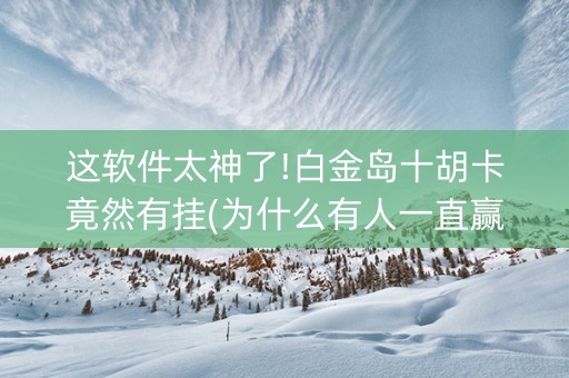 这软件太神了!白金岛十胡卡竟然有挂(为什么有人一直赢)