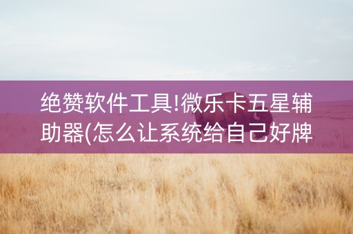 绝赞软件工具!微乐卡五星辅助器(怎么让系统给自己好牌)