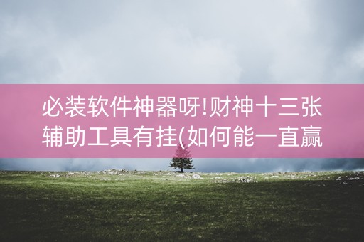 必装软件神器呀!财神十三张辅助工具有挂(如何能一直赢)