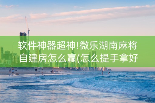 软件神器超神!微乐湖南麻将自建房怎么赢(怎么提手拿好牌)