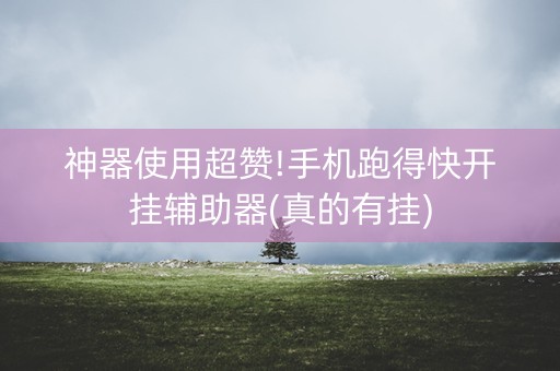 神器使用超赞!手机跑得快开挂辅助器(真的有挂)