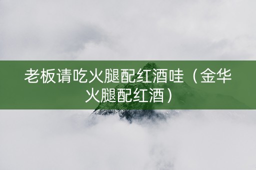 老板请吃火腿配红酒哇（金华火腿配红酒）