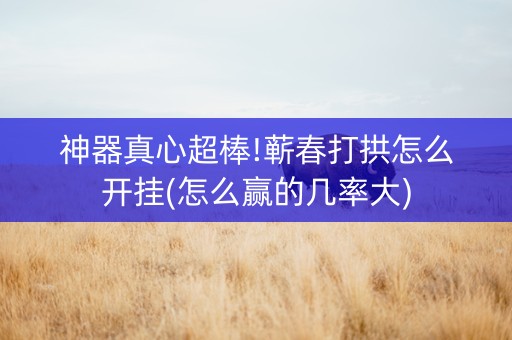 神器真心超棒!蕲春打拱怎么开挂(怎么赢的几率大)