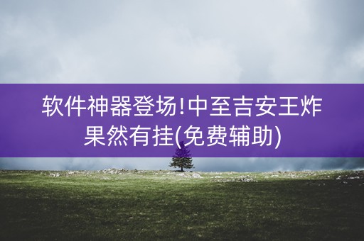 软件神器登场!中至吉安王炸果然有挂(免费辅助)