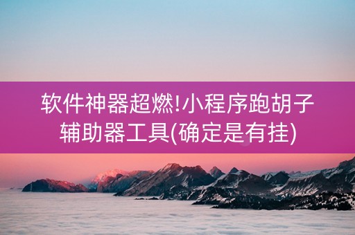 软件神器超燃!小程序跑胡子辅助器工具(确定是有挂)