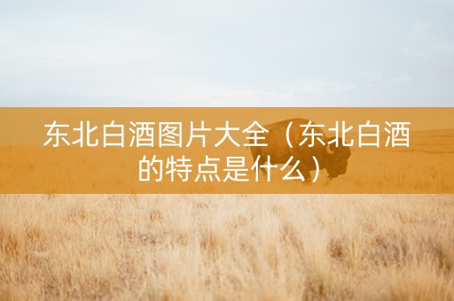东北白酒图片大全（东北白酒的特点是什么）