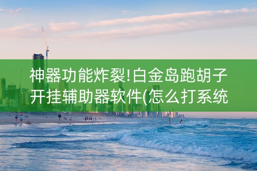 神器功能炸裂!白金岛跑胡子开挂辅助器软件(怎么打系统才能给好牌)