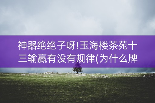 神器绝绝子呀!玉海楼茶苑十三输赢有没有规律(为什么牌一直很差)