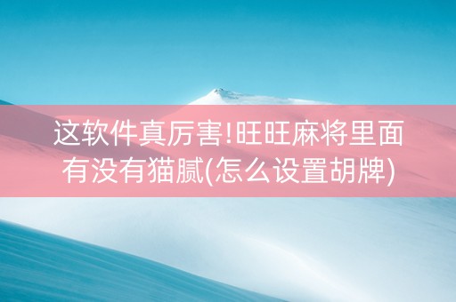 这软件真厉害!旺旺麻将里面有没有猫腻(怎么设置胡牌)