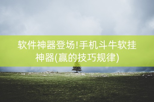 软件神器登场!手机斗牛软挂神器(赢的技巧规律)