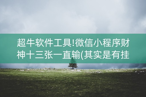 超牛软件工具!微信小程序财神十三张一直输(其实是有挂确实有挂)