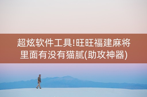 超炫软件工具!旺旺福建麻将里面有没有猫腻(助攻神器)