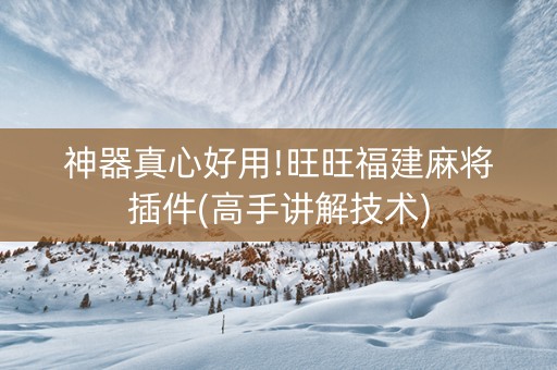 神器真心好用!旺旺福建麻将插件(高手讲解技术)