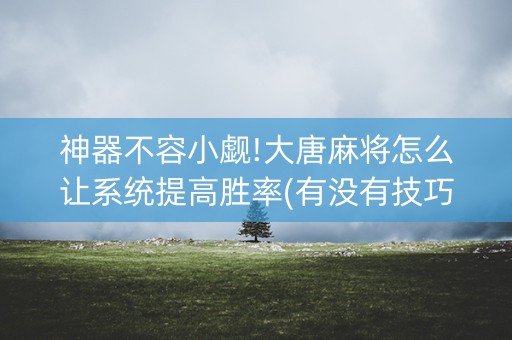 神器不容小觑!大唐麻将怎么让系统提高胜率(有没有技巧)