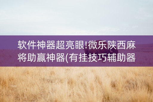 软件神器超亮眼!微乐陕西麻将助赢神器(有挂技巧辅助器)