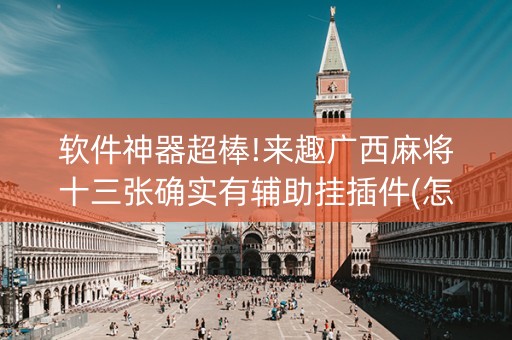 软件神器超棒!来趣广西麻将十三张确实有辅助挂插件(怎么赢的几率大)