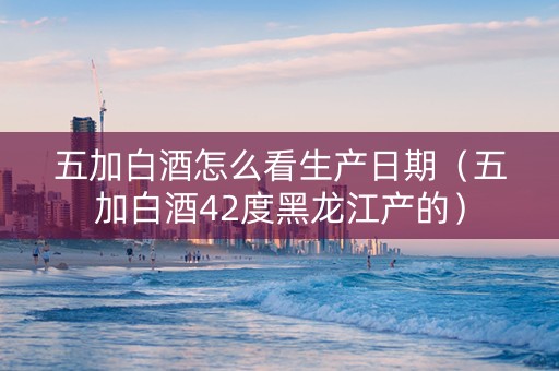 五加白酒怎么看生产日期（五加白酒42度黑龙江产的）