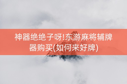 神器绝绝子呀!东游麻将辅牌器购买(如何来好牌)