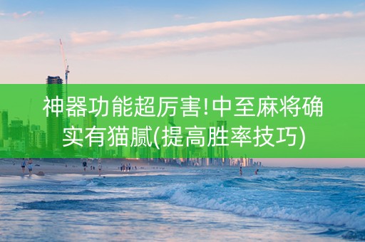 神器功能超厉害!中至麻将确实有猫腻(提高胜率技巧)