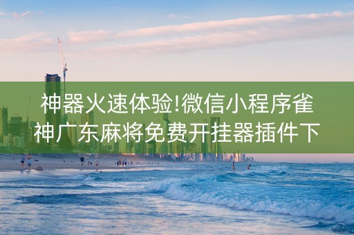 神器火速体验!微信小程序雀神广东麻将免费开挂器插件下载(怎么打会赢)