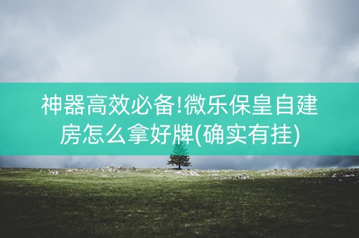 神器高效必备!微乐保皇自建房怎么拿好牌(确实有挂)