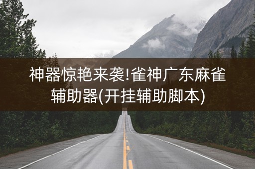 神器惊艳来袭!雀神广东麻雀辅助器(开挂辅助脚本)