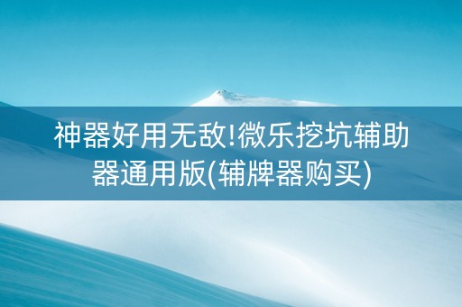 神器好用无敌!微乐挖坑辅助器通用版(辅牌器购买)