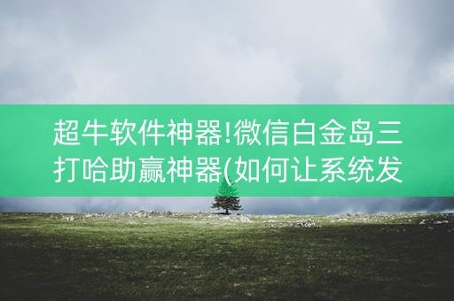 超牛软件神器!微信白金岛三打哈助赢神器(如何让系统发好牌)