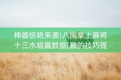 神器惊艳来袭!八闽掌上麻将十三水输赢数据(赢的技巧提高胜率)