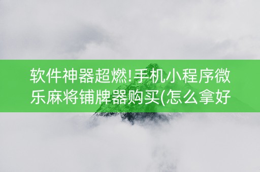 软件神器超燃!手机小程序微乐麻将铺牌器购买(怎么拿好牌)