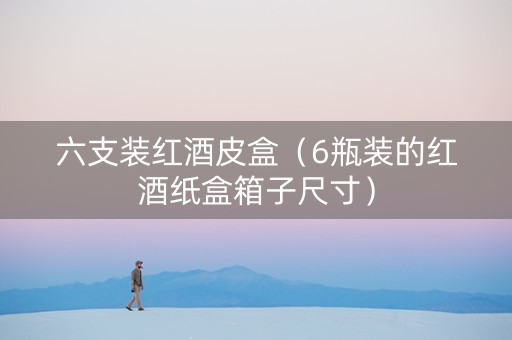 六支装红酒皮盒（6瓶装的红酒纸盒箱子尺寸）