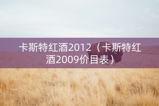 卡斯特红酒2012（卡斯特红酒2009价目表）
