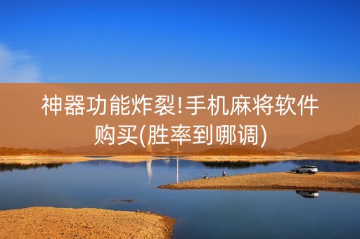 神器功能炸裂!手机麻将软件购买(胜率到哪调)