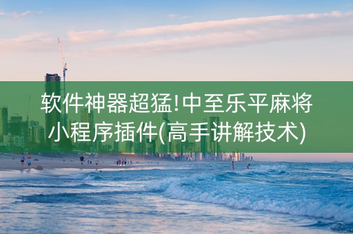 软件神器超猛!中至乐平麻将小程序插件(高手讲解技术)