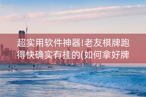 超实用软件神器!老友棋牌跑得快确实有挂的(如何拿好牌)