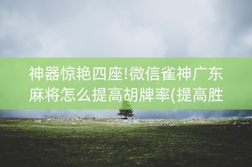 神器惊艳四座!微信雀神广东麻将怎么提高胡牌率(提高胜率技巧)